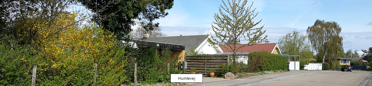 Rådalsgård II