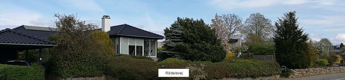 Rådalsgård II
