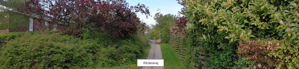 Rådalsgård II